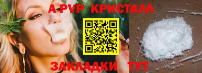 гидра Заводоуковск