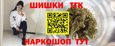 гидра Заводоуковск