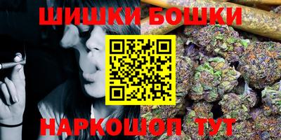 гидра Заводоуковск