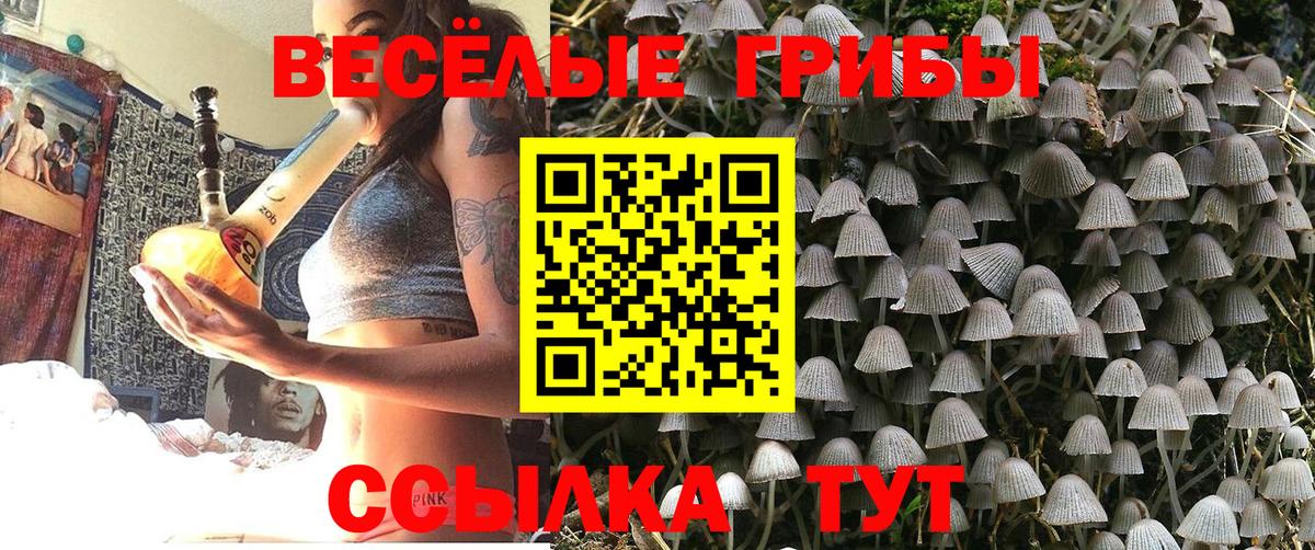 Псилоцибиновые грибы ЛСД Лабинск